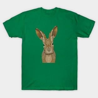 Ornate Hare T-Shirt